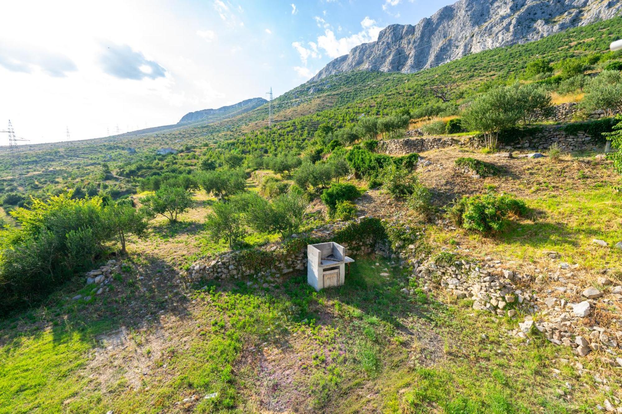 Olive Garden House In Zrnovnica With A View & Bbq Villa Bagian luar foto